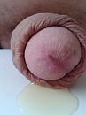 plasje, foto 1920x2560, 0 reacties, 2 stemmen