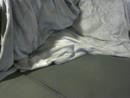 rukken voor mijn webcam, film 00:00:01, 2 reacties, 5 stemmen