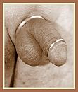 sepia, foto 1628x1896, 0 reacties, 2 stemmen