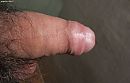 small dick, foto 1067x688, 0 reacties, 0 stemmen