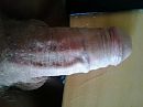 snelle foto, foto 2048x1536, 4 reacties, 27 stemmen