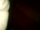 spuiten, film 00:00:02, 3 reacties, 8 stemmen