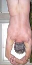 tarot 12, foto 962x1918, 0 reacties, 6 stemmen