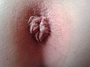 te...., foto 640x480, 4 reacties, 9 stemmen