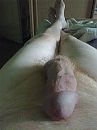 tis geen grote he, foto 1944x2592, 0 reacties, 2 stemmen
