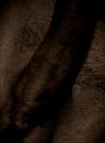 toppie, foto 224x302, 1 reacties, 3 stemmen