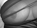 touch me..., foto 2955x2311, 16 reacties, 52 stemmen