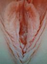 trio, foto 960x1280, 1 reacties, 2 stemmen