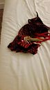 uniform, foto 2250x4000, 2 reacties, 10 stemmen