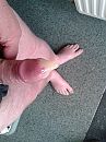 volgespoten, foto 1920x2560, 7 reacties, 13 stemmen