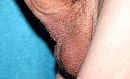 volle, foto 2308x1413, 0 reacties, 1 stemmen