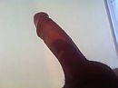 waarom ook niet, foto 300x224, 2 reacties, 4 stemmen