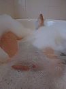 wakker worden, foto 1952x2592, 0 reacties, 2 stemmen