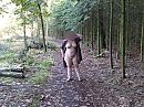 wandelpad, foto 2592x1944, 3 reacties, 30 stemmen