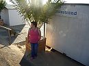 warm, foto 720x540, 3 reacties, 19 stemmen