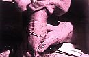 pik van colega...wat, foto 703x457, 4 reacties, 22 stemmen
