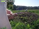 weer lekker naar buiten, foto 500x375, 2 reacties, 4 stemmen