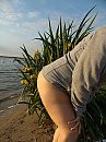 wie herkent deze struikje ??, foto 768x1024, 1 reacties, 27 stemmen