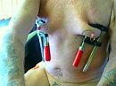 x, foto 320x240, 0 reacties, 2 stemmen