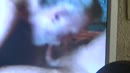 x, film 00:00:02, 3 reacties, 5 stemmen