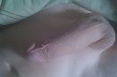 xxx, foto 2592x1728, 1 reacties, 1 stemmen