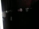 zaaaad, film 00:00:10, 0 reacties, 5 stemmen