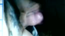 zaad, film 00:00:26, 0 reacties, 4 stemmen