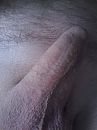 zin....., foto 1200x1600, 0 reacties, 2 stemmen