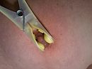 10, foto 1280x960, 0 reacties, 3 stemmen