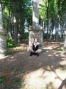 15 mei, foto 2448x3264, 1 reacties, 17 stemmen