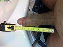 16 cm, foto 1280x960, 3 reacties, 11 stemmen