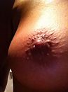 1, foto 480x640, 0 reacties, 11 stemmen