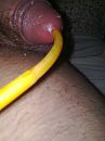 1, foto 1536x2048, 0 reacties, 0 stemmen