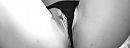 ..... Geilemorgen!, foto 4000x1486, 6 reacties, 46 stemmen