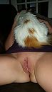 2 poezen....., foto 2250x4000, 6 reacties, 44 stemmen