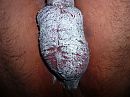 2, foto 4000x3000, 1 reacties, 0 stemmen