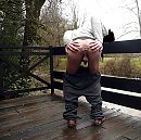 3, foto 669x667, 1 reacties, 11 stemmen