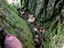 Aftrekken bos.....liever samen, film 00:00:00, 7 reacties, 24 stemmen