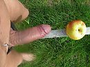 Appel, foto 1024x768, 8 reacties, 39 stemmen