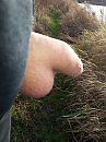 BEETJE FRIS, foto 2448x3264, 3 reacties, 9 stemmen
