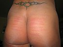 Billen na canesessie, foto 568x426, 3 reacties, 8 stemmen