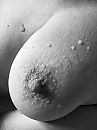 Black & white, foto 2448x3264, 5 reacties, 35 stemmen
