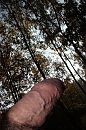 Bos zon 1, foto 2176x3264, 1 reacties, 3 stemmen