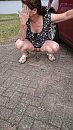 Buiten, foto 2160x3840, 1 reacties, 32 stemmen