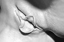 Close up, foto 2753x1835, 25 reacties, 82 stemmen