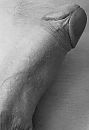 Close up, foto 434x632, 0 reacties, 1 stemmen