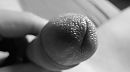 Close up, foto 1123x628, 0 reacties, 0 stemmen