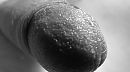 Close up, foto 1124x631, 0 reacties, 0 stemmen