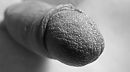 Close up, foto 1120x626, 0 reacties, 1 stemmen