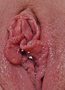 Close up, foto 1179x1605, 10 reacties, 39 stemmen